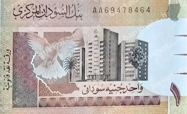 1 Pound, 2006