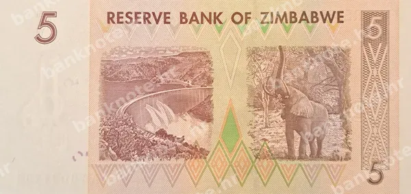 5 Dollars, Zimbabve, 2007