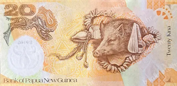 20 Kina, 2008