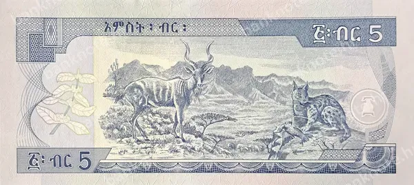 5 Birr, Etiopija, EE 2009 (2017)