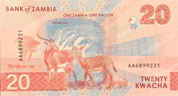 20 Kwacha, Zambija, 2024 (2025)