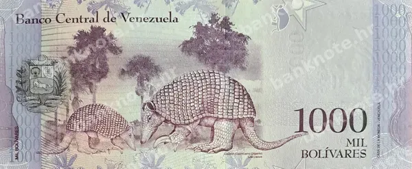 1000 Bolivares, Venezuela, 2016/2017