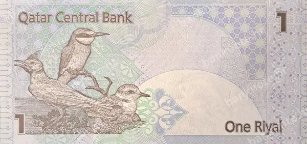 1 Riyal, 2008