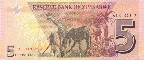 5 Dollars, Zimbabve, 2019
