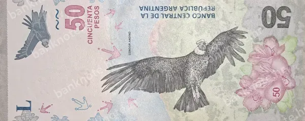50 Pesos, ND (2018)
