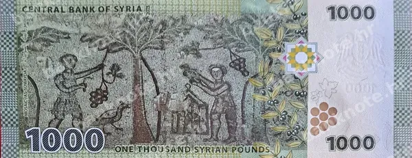 1000 Syrian Pounds, Sirija, 2013