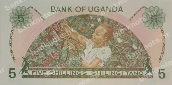 5 Shillings, Uganda, 1982