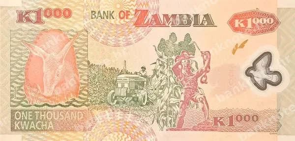 1000 Kwacha, Zambija, 2003/2008