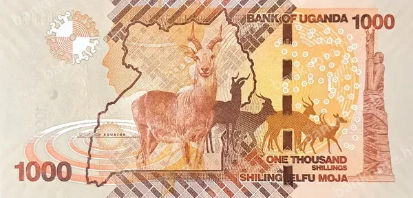 1000 Shillings, 2015/2021