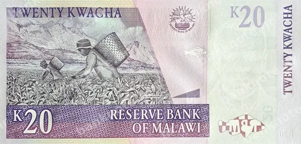 20 Kwacha, Malavi, 31.10.2006