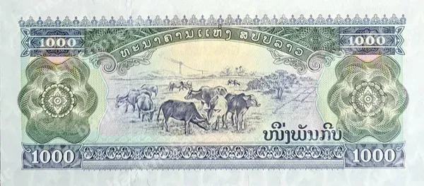 1000 Kip, Laos, 1998/2003