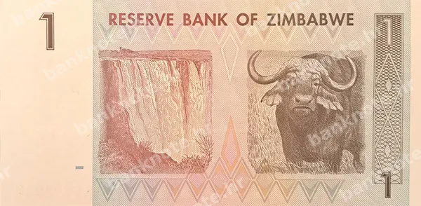 1 Dollar, Zimbabve, 2007