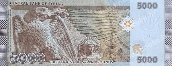 5000 Syrian Pounds, Sirija, 2019/2021