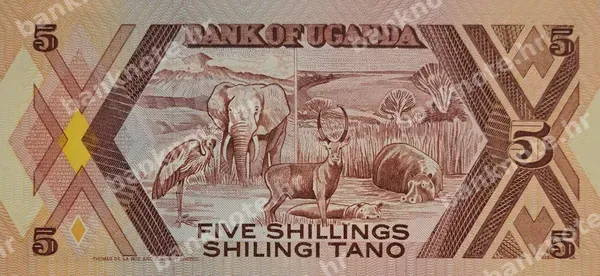 5 Shillings, Uganda, 1987