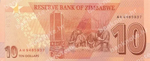10 Dollars, Zimbabve, 2020