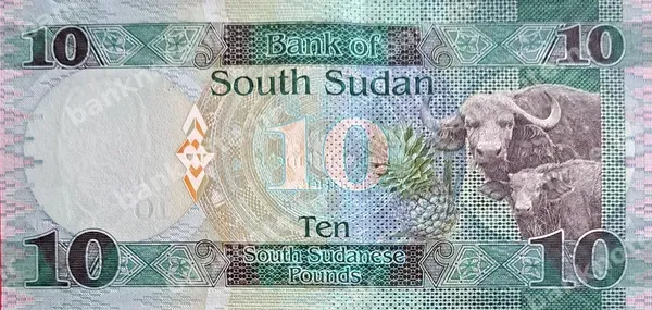 10 Pounds, Južni Sudan, 2015