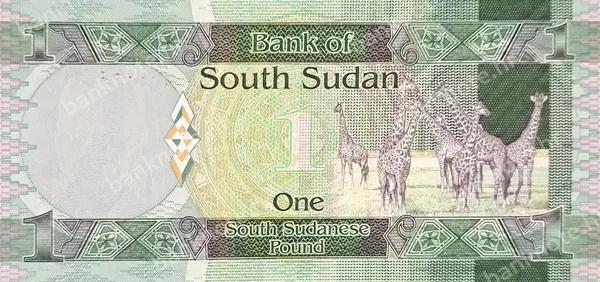 1 Pound, Južni Sudan, ND (2011)