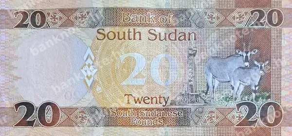 20 Pounds, Južni Sudan, 2015
